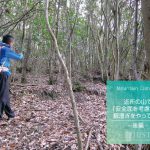 近所の山で「安全面を考慮した」藪漕ぎをやってみる – 後編 –